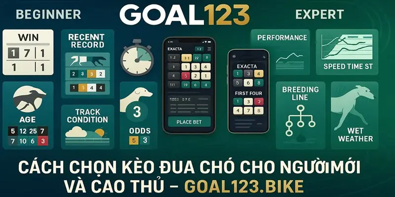 cách chọn kèo đua chó